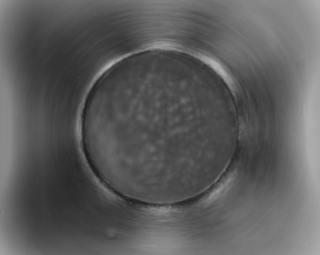 X0000094210999200711091234