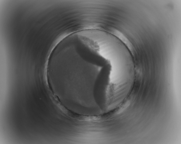 X0000094211002200711091234