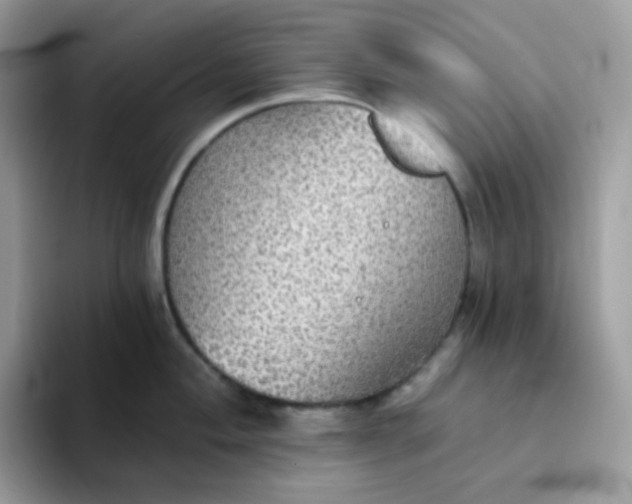 X0000094211004200711091234