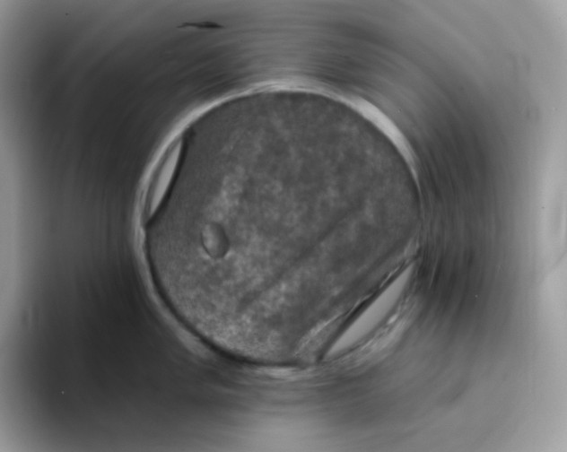X0000094211005200711091234