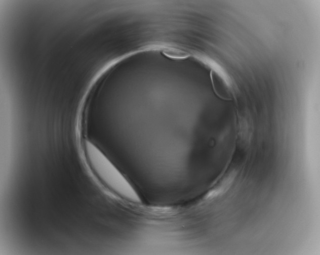 X0000094211007200711091234