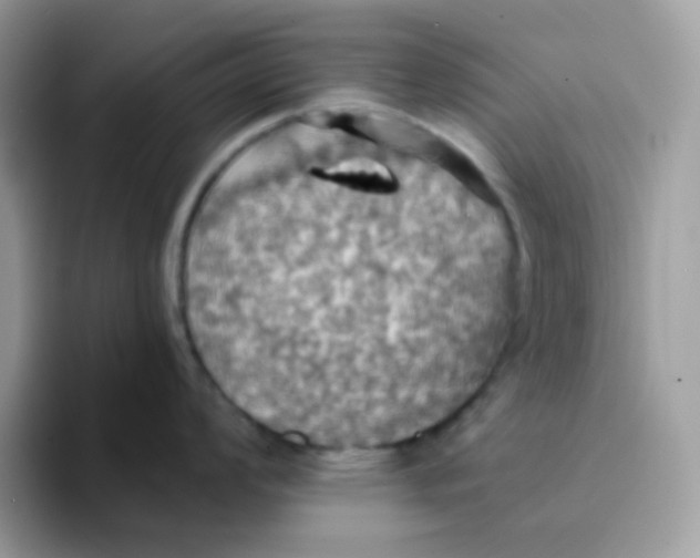 X0000094211008200711091234