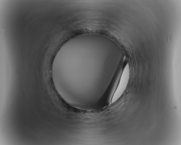X0000094211009200711091233