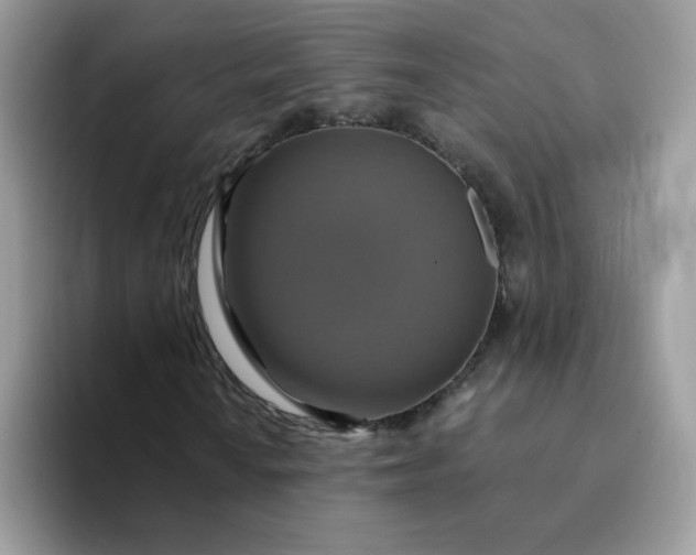 X0000094211010200711091233