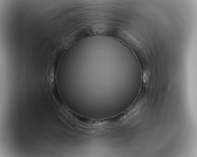 X0000094211011200711091233