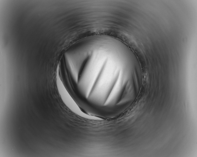 X0000094211012200711091233