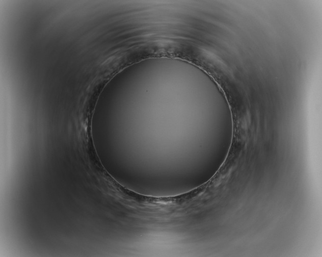 X0000094211013200711091233