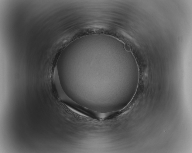 X0000094211014200711091233
