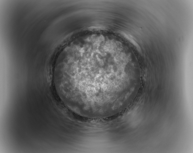 X0000094211015200711091233