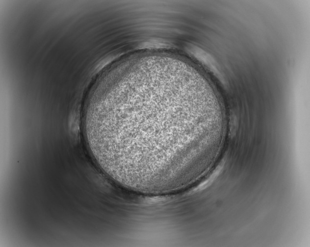 X0000094211017200711091233