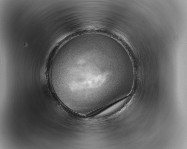 X0000094211018200711091233