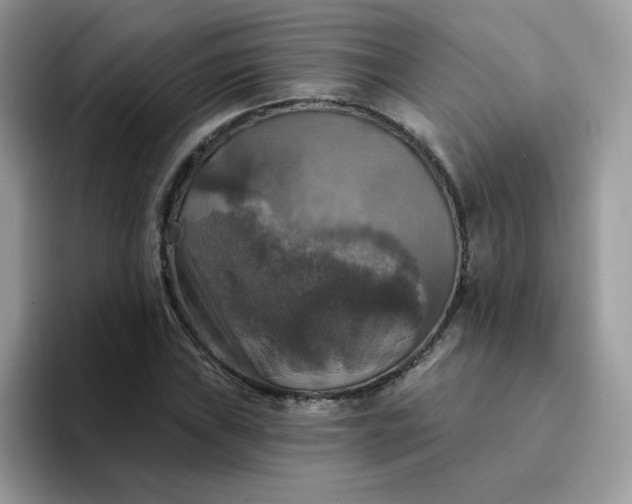 X0000094211019200711091233