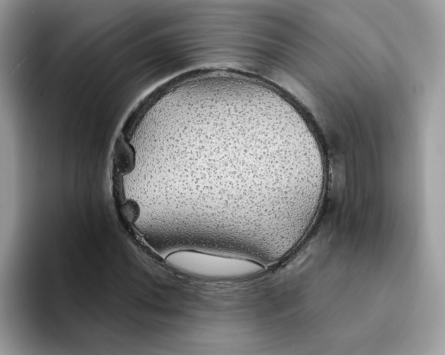 X0000094211020200711091233