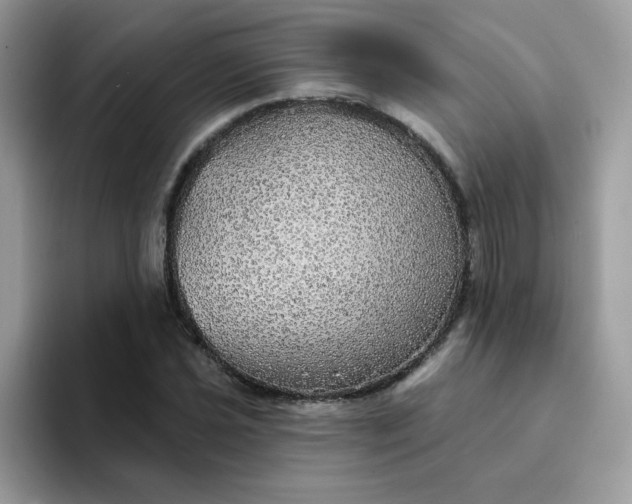 X0000094211021200711091233