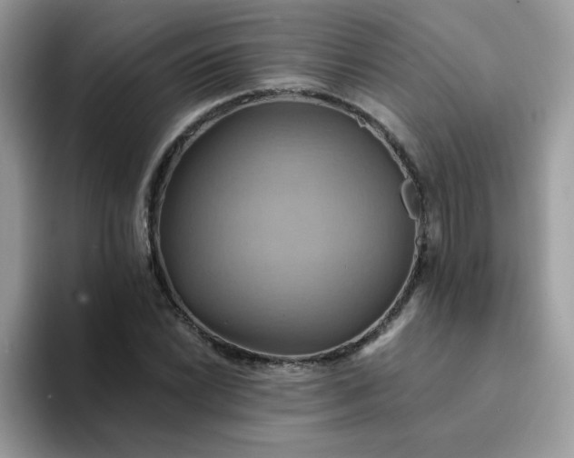X0000094211022200711091233