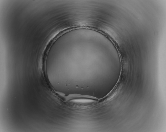 X0000094211023200711091234