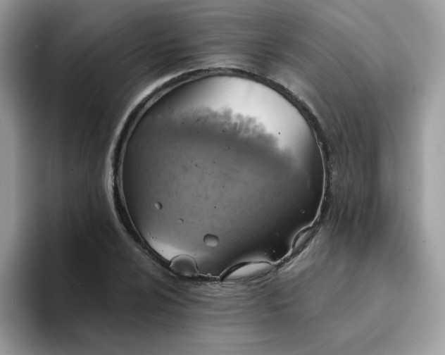 X0000094211024200711091234