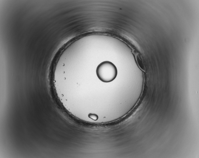 X0000094211026200711091234