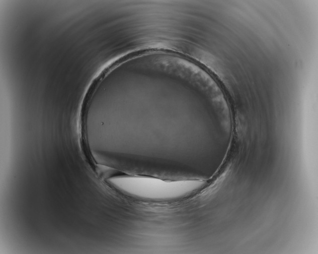 X0000094211028200711091234