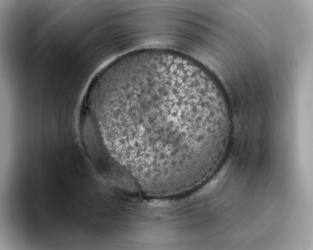 X0000094211029200711091234