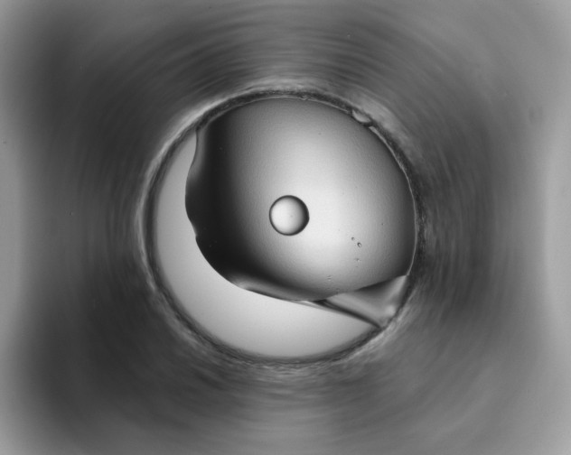 X0000094211030200711091234