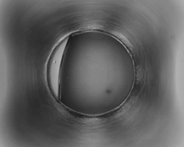X0000094211031200711091234