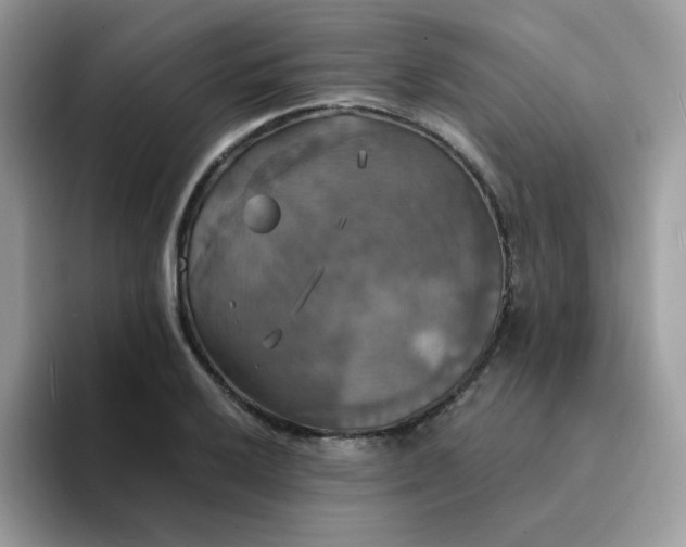 X0000094211032200711091234