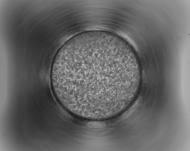 X0000094211033200711091234