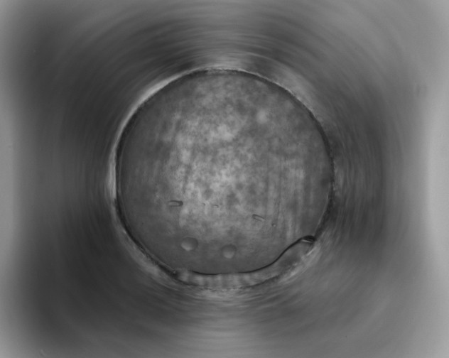 X0000094211036200711091234