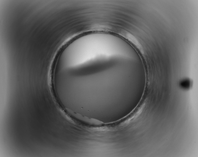 X0000094211037200711091234