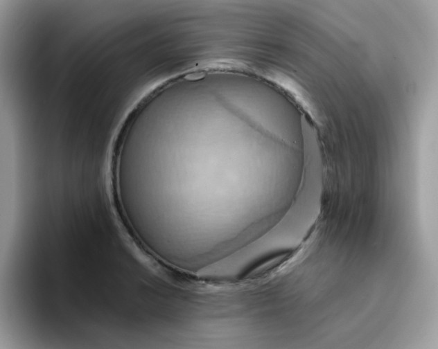 X0000094211038200711091234