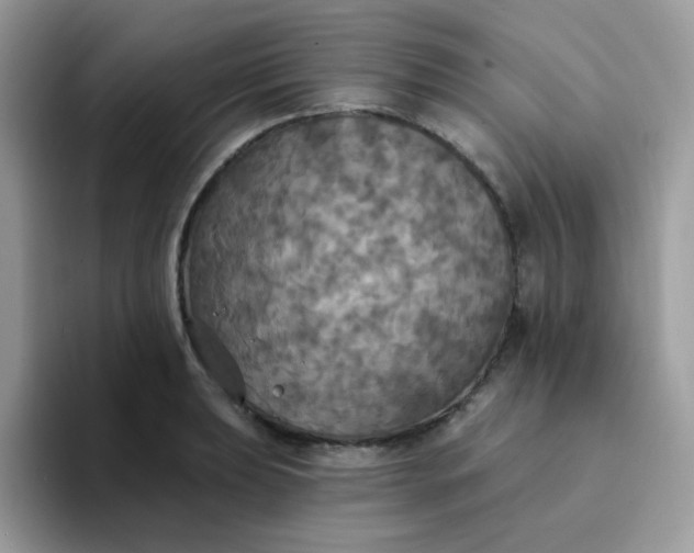 X0000094211039200711091234