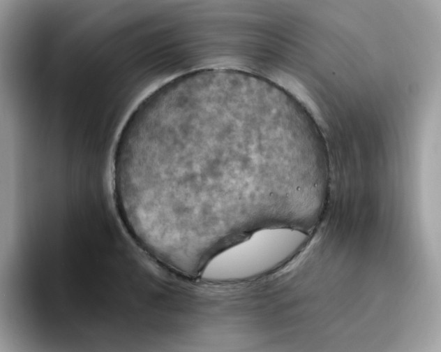 X0000094211040200711091234