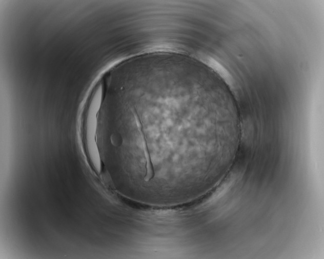 X0000094211043200711091234