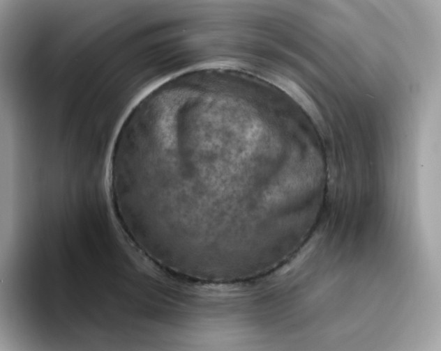 X0000094211044200711091234