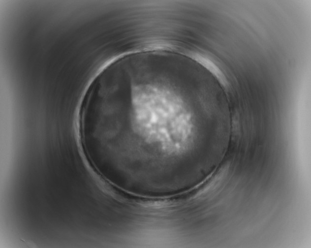X0000094211047200711091234