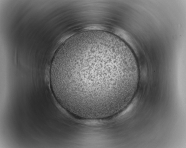 X0000094211049200711091234
