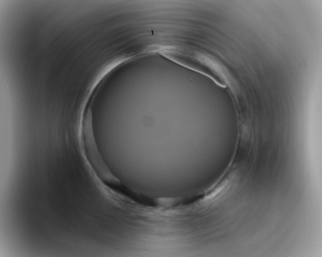 X0000094211050200711091234