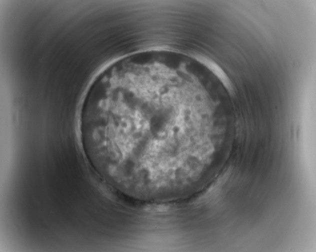 X0000094211051200711091234