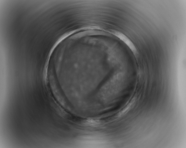 X0000094211052200711091234