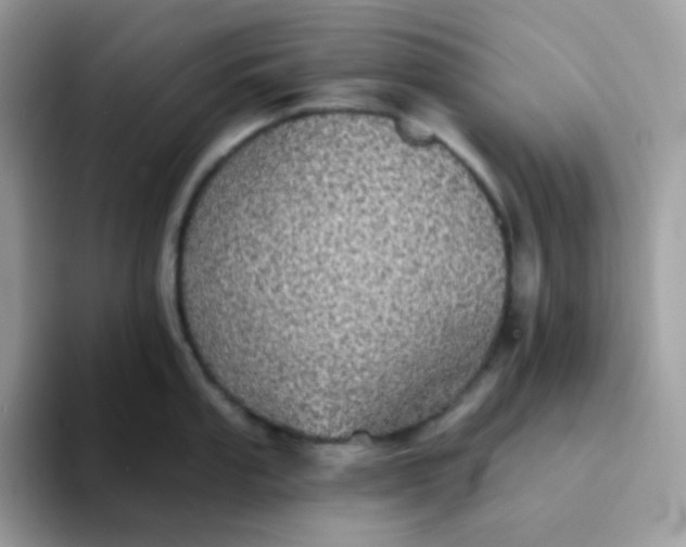 X0000094211053200711091234