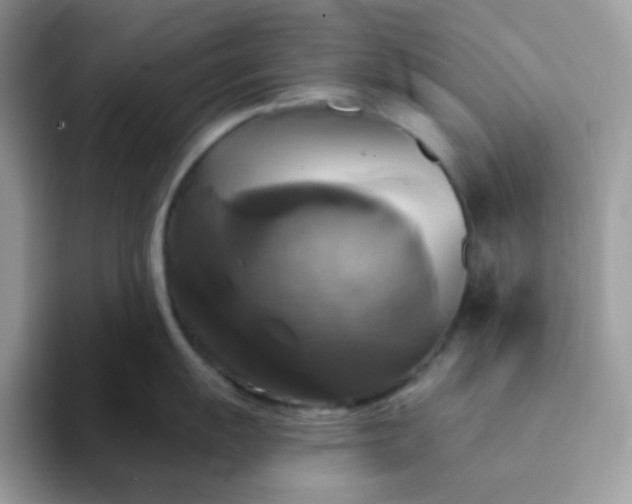 X0000094211055200711091234