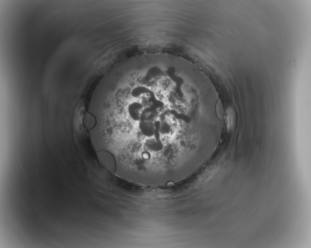 X0000094211059200711091233