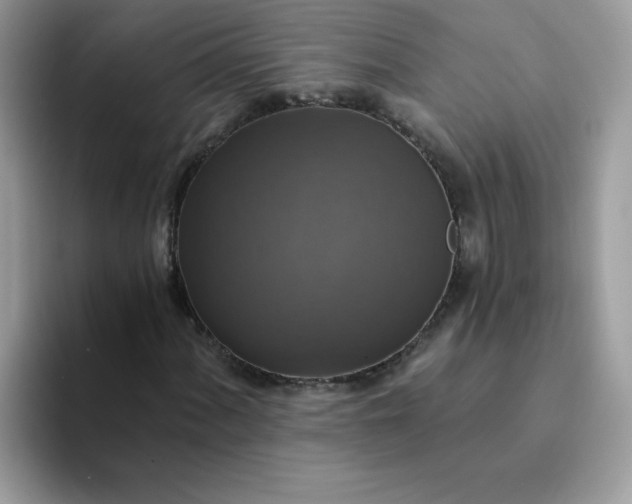 X0000094211060200711091233