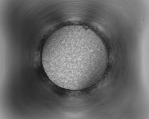 X0000094211062200711091233