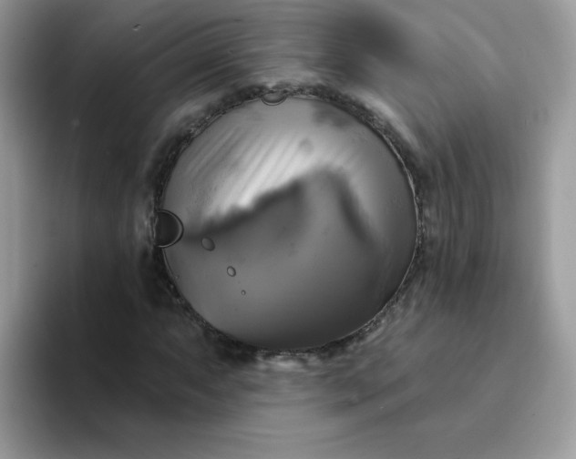X0000094211063200711091233