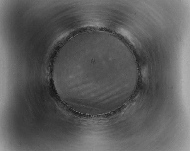 X0000094211064200711091233