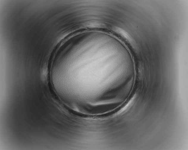 X0000094211065200711091233