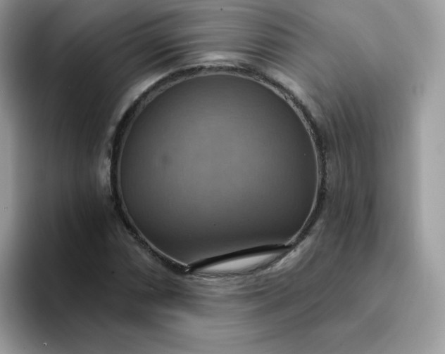 X0000094211066200711091233
