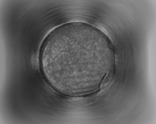 X0000094211068200711091233